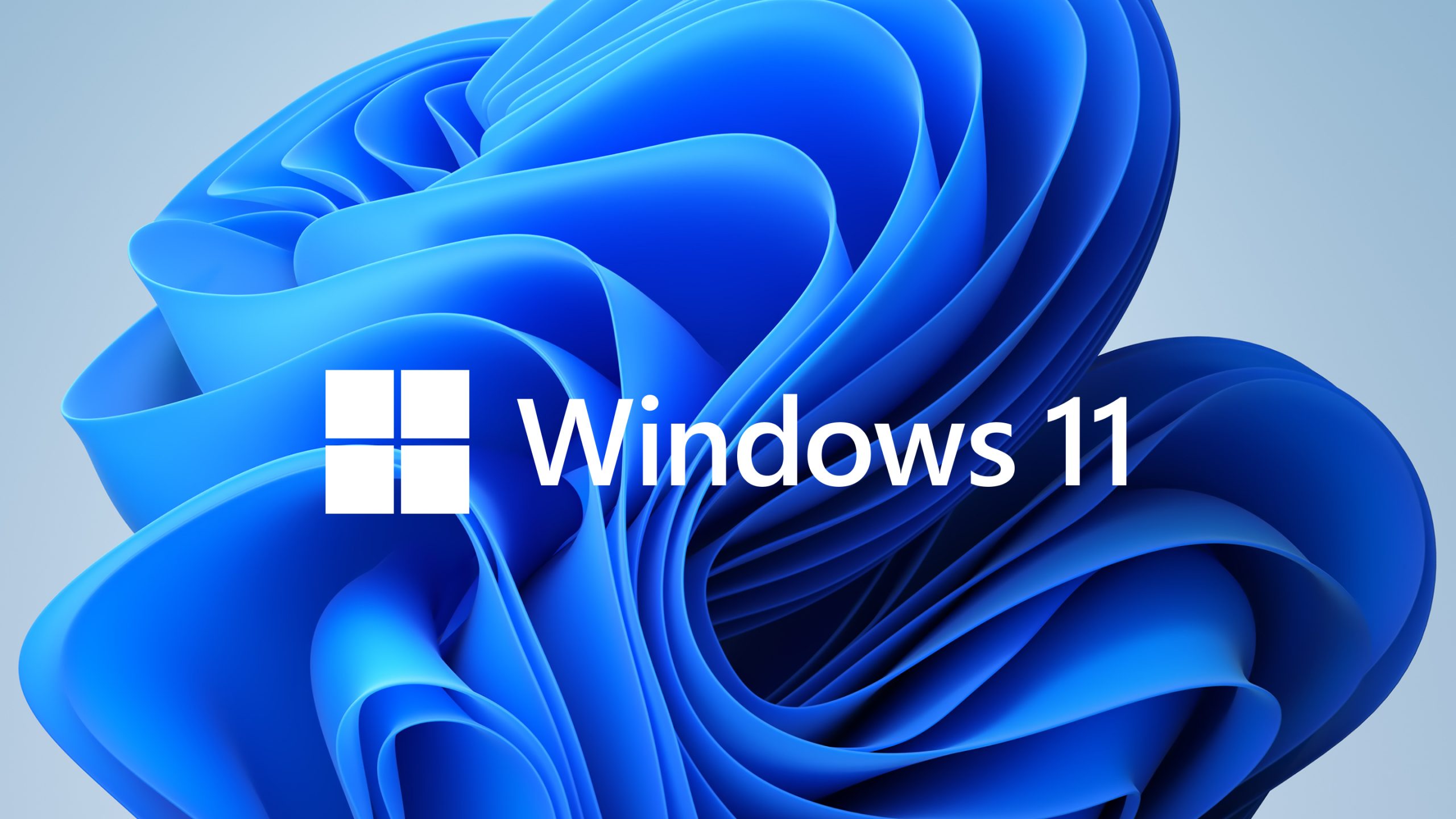 Microsoft Windows product thumbnail